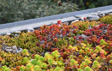 the cost of Sunninghill green roof installation