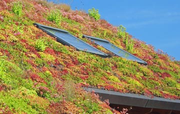 Sunninghill living roof systems