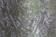 Sunninghill fibreglass roof work